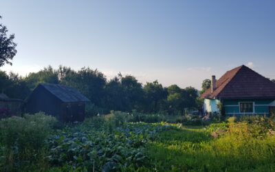 Dingen Zeit geben