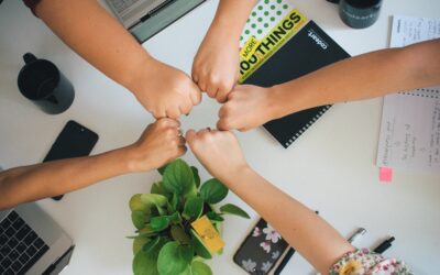 Koalition der Willigen: Welcher Fokus Teams erfolgreich macht